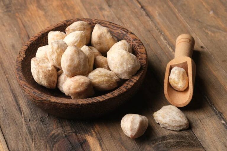 Indonesia’s Candle Nut Export Boom: A Golden Opportunity in the Global Health and Beauty Market