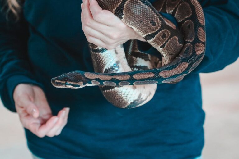 Why We Celebrate World Snake Day on July 16: History, Myths, and Conservation