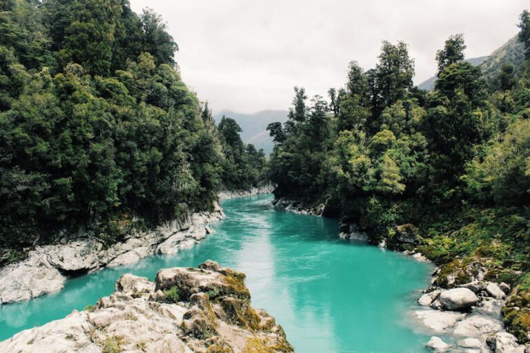 Amazon Rainforest Gets Bombed with 1-Star Ratings by Indonesian Netizens – But These Surprising Facts Are the Real Story