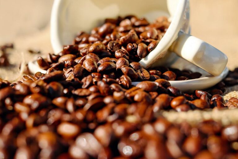 From Sumatra to Saxony: Sustainable Coffee with a Story
