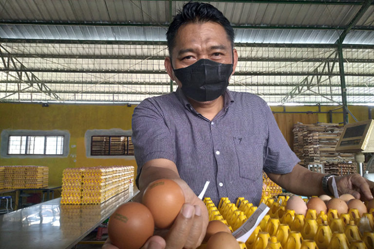 Kusno Waluyo and His Unique Herbal Eggs: A Fresh Take on Healthy Farming