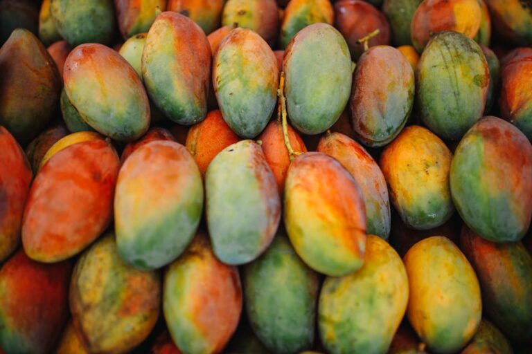 From Orchards to Overseas Markets: How Indonesia’s Mango Export Journey Offers Lessons for Asia’s Mango Producers