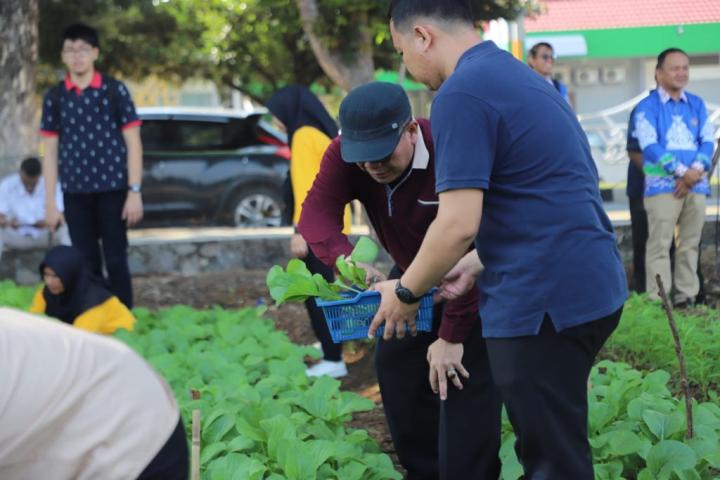 Unila Panen Raya Sayuran Sambut Dies Natalis ke-59