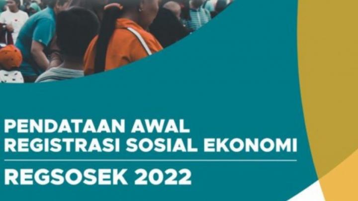 Apa Itu Regsosek Badan Pusat Statistik? Begini Penjelasannya