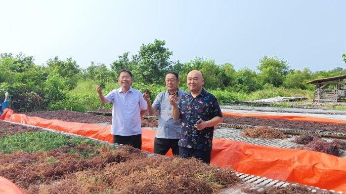 Pengusaha Nasional Anak Lampung, Petrus Tjandra Dirikan Pabrik Pupuk Organik Berbahan Dasar Rumput Laut di Lampung Selatan