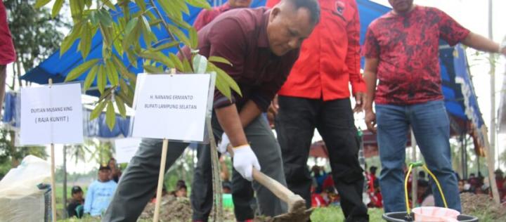 Bupati Lampung Selatan Nanang Ermanto Tanam Bibit Pohon Durian Di Kawasan Agrowisata Desa Bali Agung 