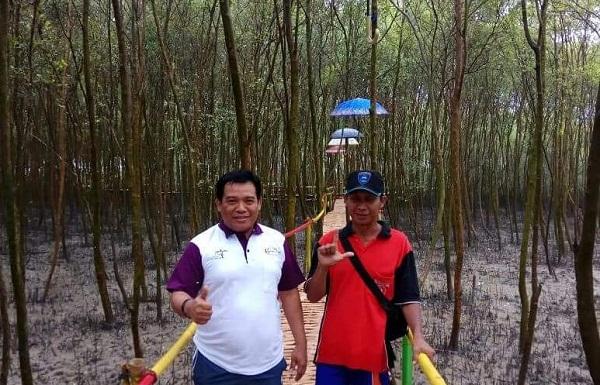 Belum Puas Kalau Tidak Mampir Hutan Mangrove Lampung Timur