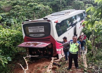 Kronologi Bus Masuk Jurang di Lampung Barat, Pandangan Sopir Terhalang Kabut 