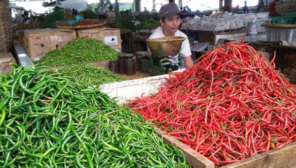 Stok Banyak Harga Cabai di  Pasar  Tradisional Bandar  