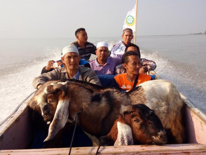 Dewan Dakwah Lampung Sebar Ratusan Hewan Qurban dan Khotib Idul Adha Se Lampung 