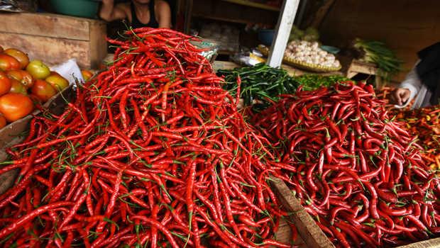 Bandar Lampung, Harga Cabai Merah Merangkak Naik