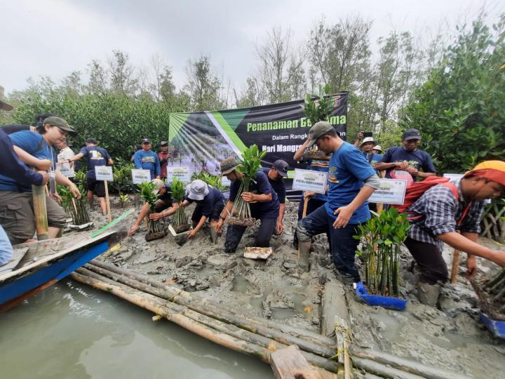 Hutan Mangrove Miliki Peran Penting bagi Masyarakat 