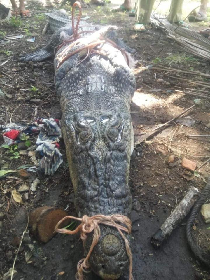 Objek Wisata Pantai Di Lampung Selatan Lumpuh Oleh Tsunami