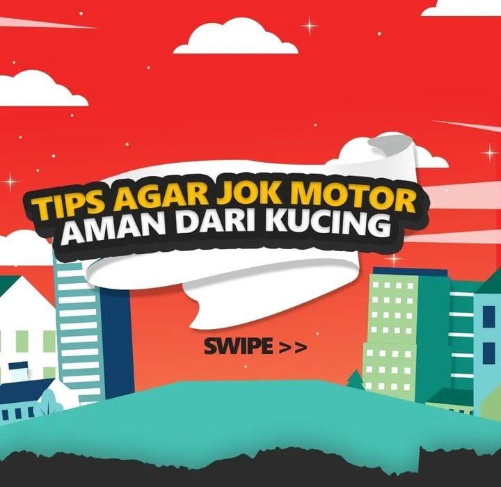 Cara Aman Mencegah Jok Motor Jadi Sasaran Cakaran Kucing : Gunakan Pelapis Atau Lakukan Ini 