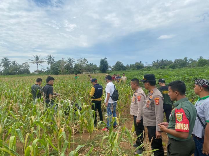 Geger Penemuan Mayat Wanita dalam Karung di Kebun Jagung Lampung Timur, Polisi Masih Lakukan Identifikasi Lebih Lanjut