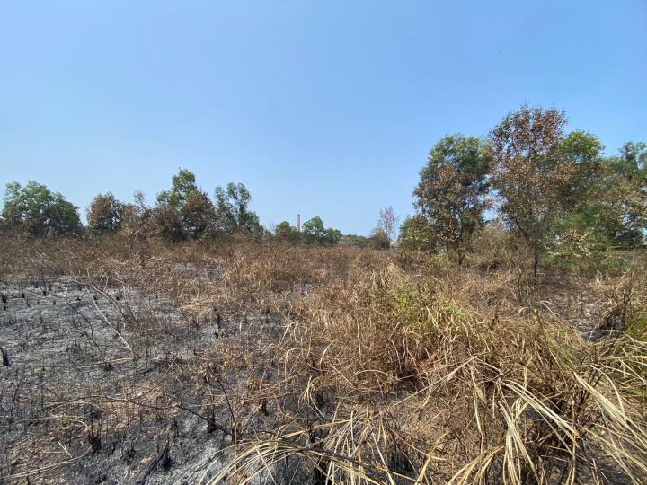 Kebakaran Lahan Kosong di Kelurahan Way Laga Tidak Sampai 2 Hektar 