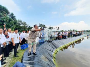 Gubernur Lampung Inisiasi Budidaya Udang Vaname Air Tawar Pertama di Indonesia