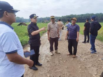 Cek Jalan Rusak, Pj Bupati Pringsewu Langsung Cari Solusi 