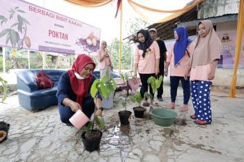 Bantu Perekonomian Warga, Mak Ganjar Lampung Bagikan 100 Bibit Kakao