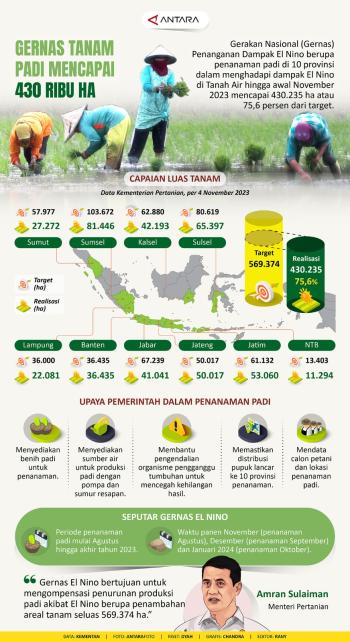 Gerakan Nasional (Gernas) Penangan Dampak El Nino Berupa Penanaman Pagi di 10 Provinsi 