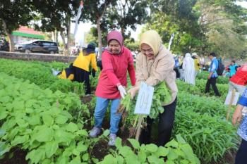 Unila Panen Raya Sayuran Sambut Dies Natalis ke-59