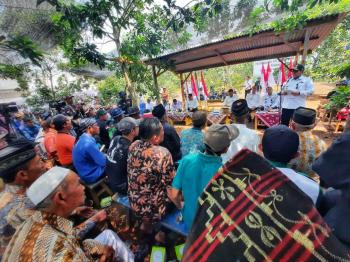 Sinergi Pemerintah-Masyarakat, Alpukat Siger Giri Mulyo Berbuah Manis