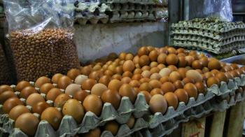 Harga Telur Ayam di Pasar Bandar Lampung Tembus Rp30 ribu perkilo 