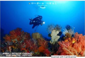 Divers Lampung Juara 3 Underwater Photography Competition FPSL 2022 di Sulawesi Utara 