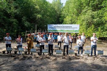 Peringati Hari Lingkungan Hidup Sedunia, Yayasan AHM Tanam Puluhan Ribu Mangrove 