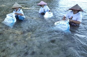 Nelayan Pesisir Dukung Ganjar Adakan Edukasi Budi Daya Rumput Laut di Lampung