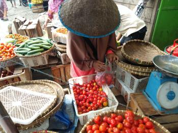 Viral Buang Tomat di Lambar, Disinyalir Petani Kecewa Harga Tomat di Bandar Lampung Ikut Turun