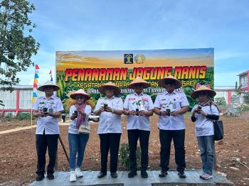 Penanaman Jagung Manis dan Terong Ungu di Area Sarana Asmilasi dan Edukasi (SAE) 