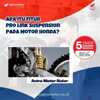 Apa Fitur Pro Link Suspension Pada Motor Honda 