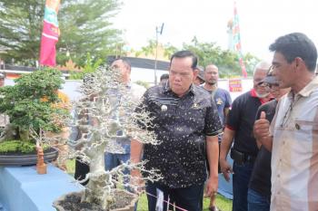 Wabup Azwar Hadi Buka Pameran Lokal Terbuka Bonsai