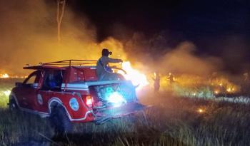 Tim Gabungan Selama 3 Hari Padamkan Karhutla di Taman Nasional Way Kambas