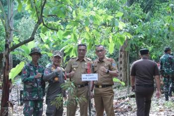 Dulkahar Sempurnakan Penanaman Pohon Serentak, Dukung Inisiatif Hijau di Kodim Lampung Selatan